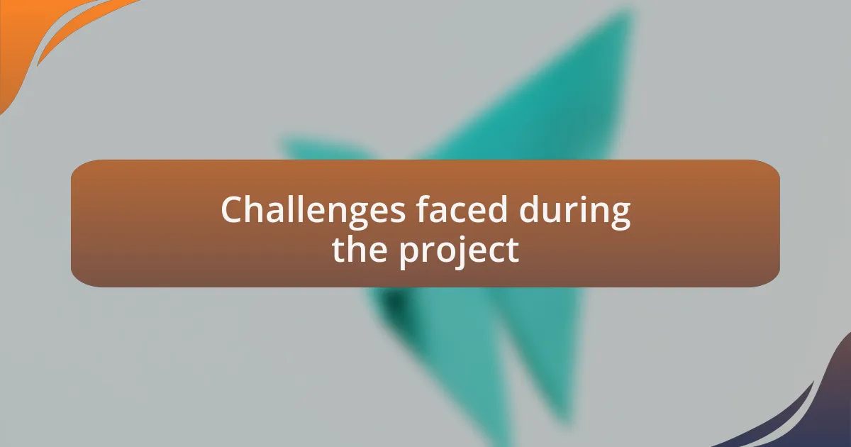 Challenges faced during the project